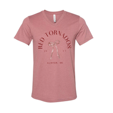 Load image into Gallery viewer, Dainty Reds Unisex Bella Canvas V-Neck